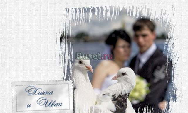 Свадебный фотограф Санкт-Петербург