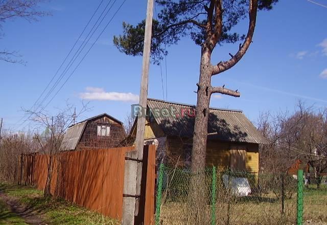 Дача Ногинск