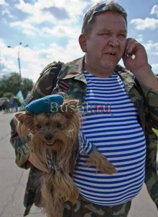 Подрощенная девочка йоркширского терьера.Шоу Москва
