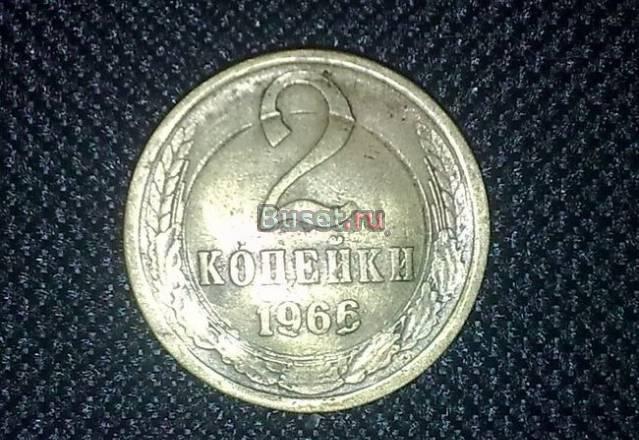 Хорошие руки не хотят отдам в плохие Новосибирск