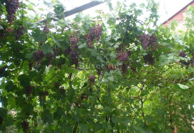 Большая база продаваемых объектов в пригороде Таганрог