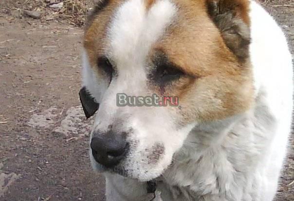 Юрхан желает познакомиться с вами Санкт-Петербург