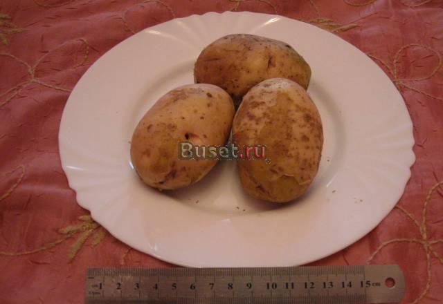 Картофель из Красноярского  края оптом от производ Красноярск