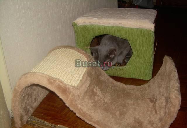 Продам когтеточку для котят Москва