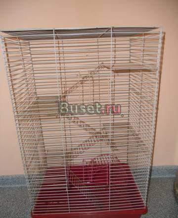 Продается клетка за 2 000 руб Санкт-Петербург