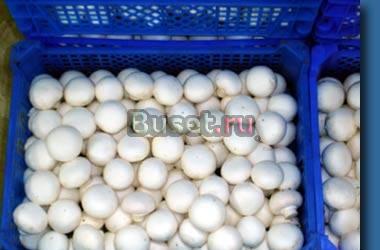 Грибы  шампиньоны  Польские Липецк