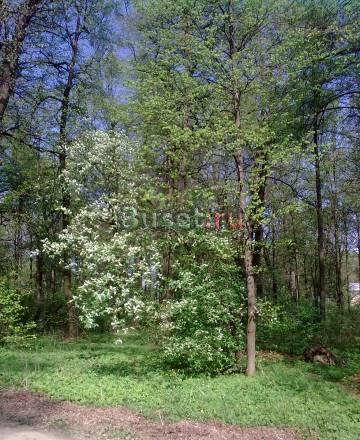 Симф.ш.52 км от МКАД участок в деревне пмж Москва