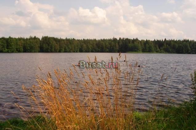 Продаётся 2-х комомнатная квартира в пгт Оськино Спас-Клепики