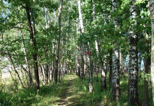 10 соток без подряда. ижс, прописка Москва