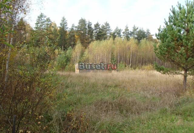 Земельные участки (8+8 соток) Дмитров