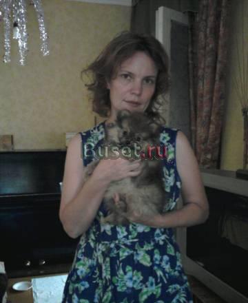 Померанский шпиц Краснодар