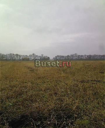 2 гектара в Краснодаре - 600 000 руб. за участок Краснодар