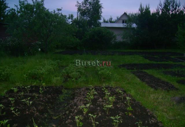Продаю участок 6 соток в сад-тов.66км. от МКАД Куровское