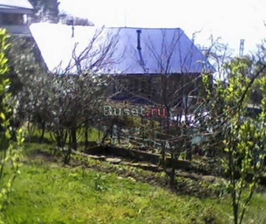 Дом и земля у моря в Лазаревском районе Сочи