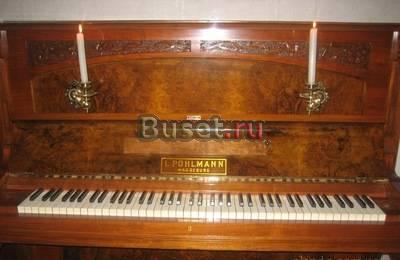 Настройка  ремонт музыкальных инструментов Красноярск