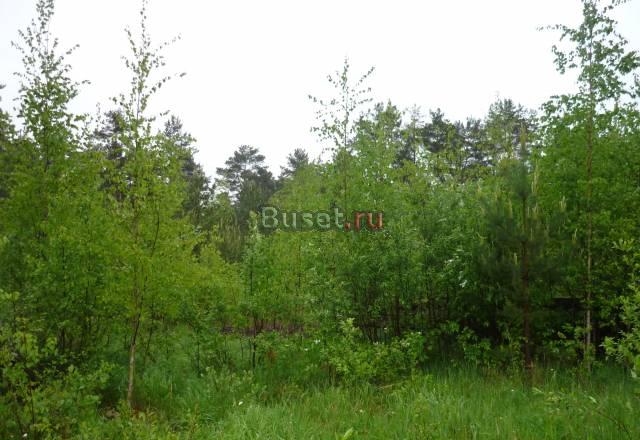 Тосненский р-н п.Ушаки 50 км от СПб Санкт-Петербург