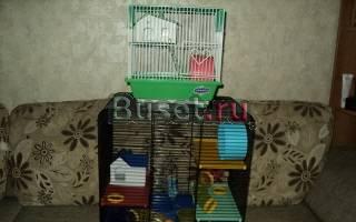 Клетка для хомяков Солнечногорск
