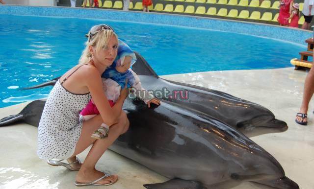Няня Южное Бутово (у меня дома) Москва