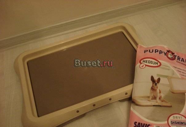 Туалет (Бельгия) для маленькой собачки Санкт-Петербург