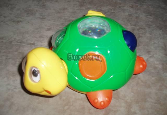 Chicco игрушка развивающая "Черепашка" Москва