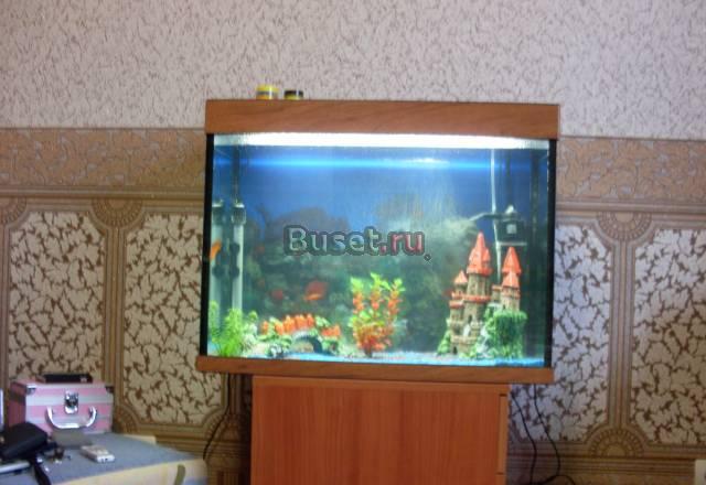 Аквариум на 120л Москва