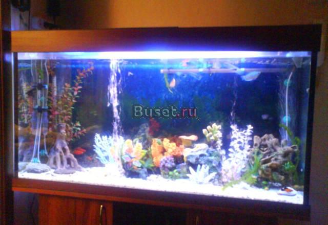 Продаю аквариум 320 kbnhjd Москва