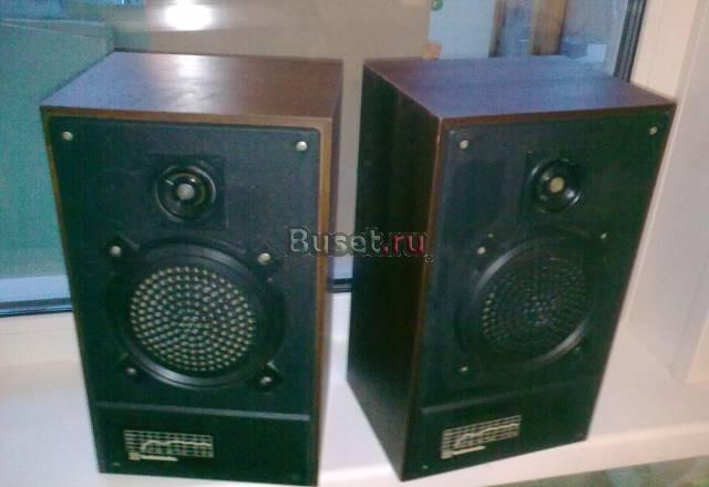 Акустическая система   Radiotehnika  S-30A Смоленск
