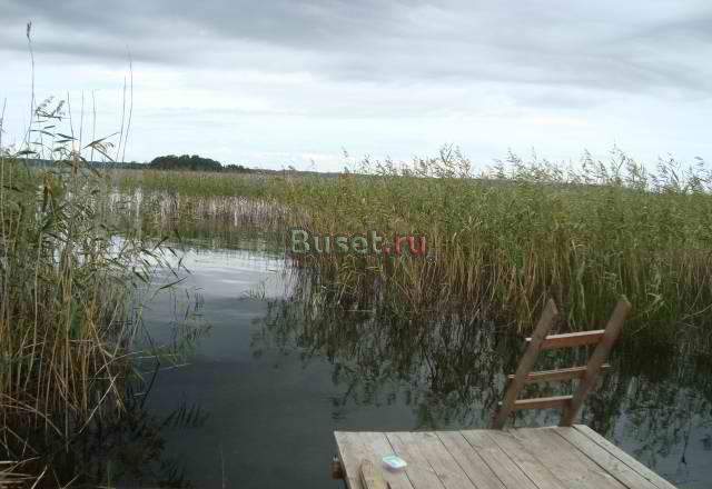 Дом на берегу озера Сиг 80м от воды Тверская обл Осташков