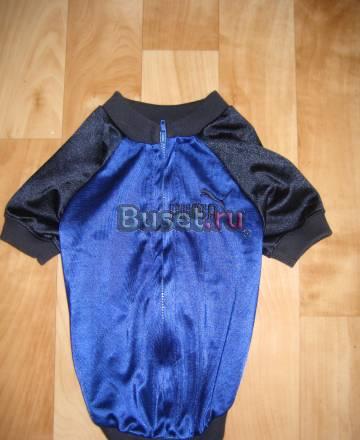 Кофта спортивная для собак Москва