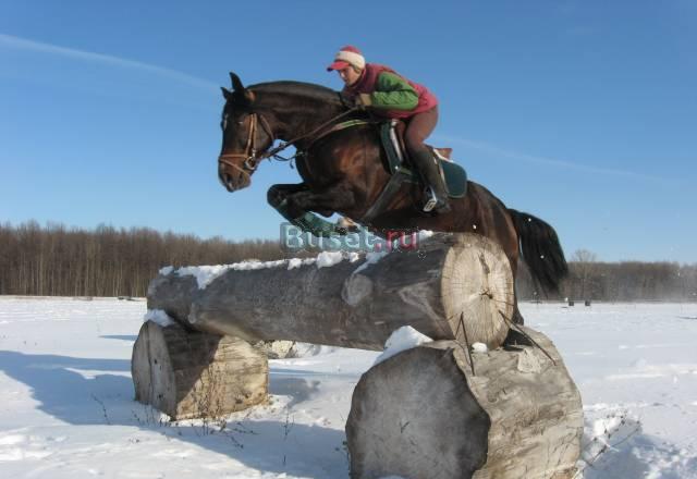 Конкур Ульяновск
