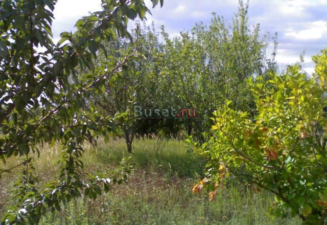2км от берега Азовского моря Приморско-Ахтарск
