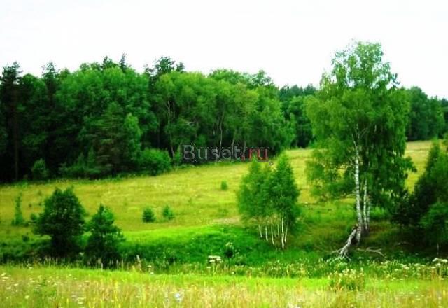 Участок у Оки 12 соток от 20000 тыс руб/сотка Москва