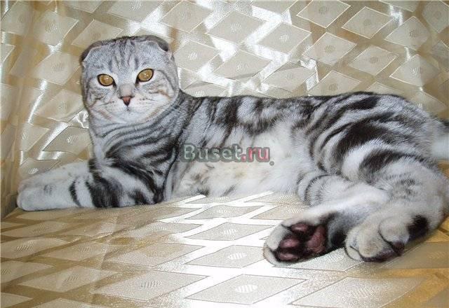 Вниманию всех посетителей сайта Москва