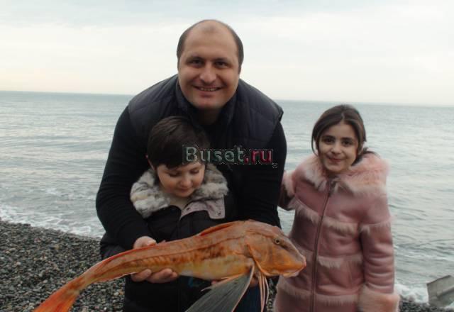 Холодильник барный витринный на 60см Москва