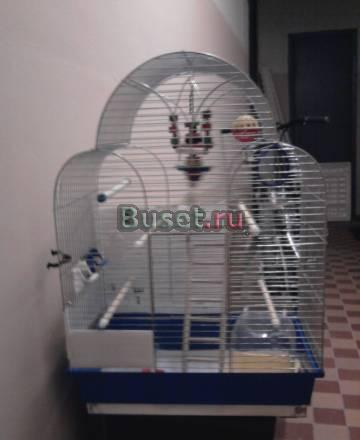 Продаю клетку Москва
