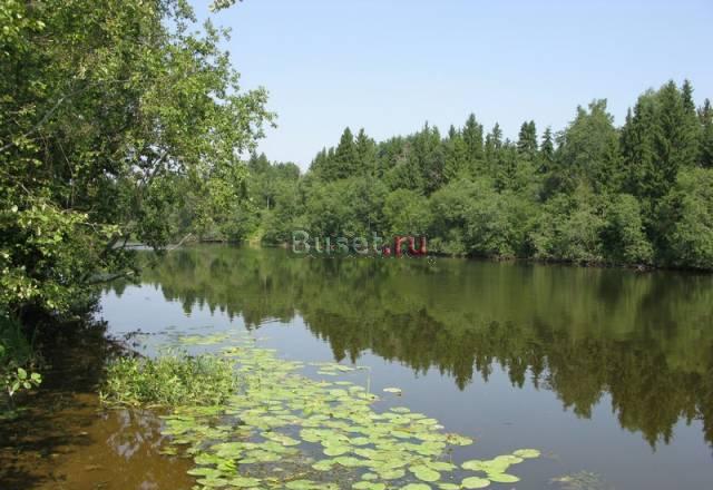 120 км от МКАД, 15 соток+, 1-ая линия р.Дубна,с/т Кимры