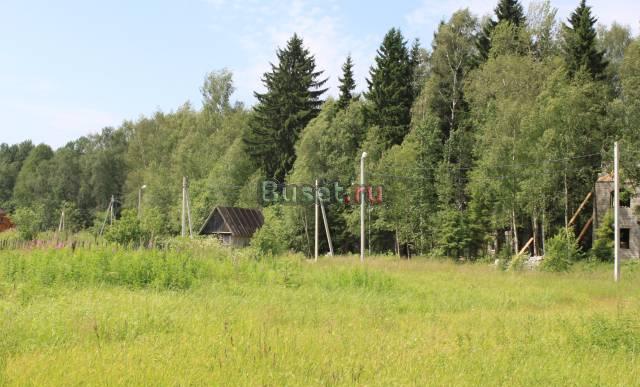 Д. Вертлино, 50 км. от МКАД по Ленингр. ш Солнечногорск