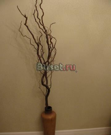 Продаю Москва