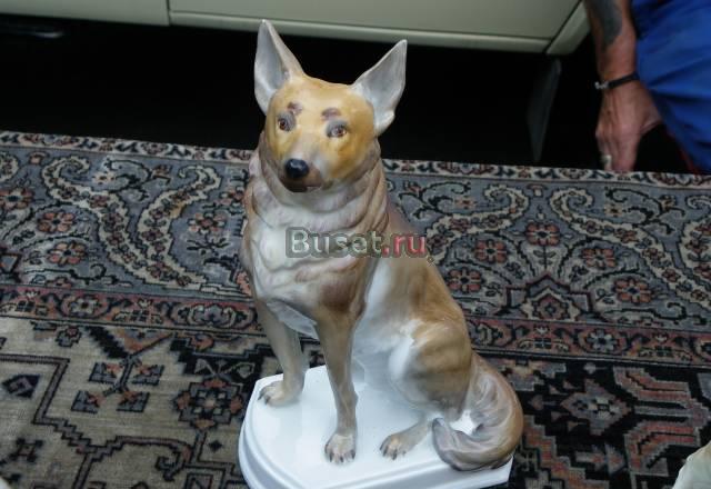 Фарфоровые собаки. Фирма "goebel". Овчарка N 2 Москва