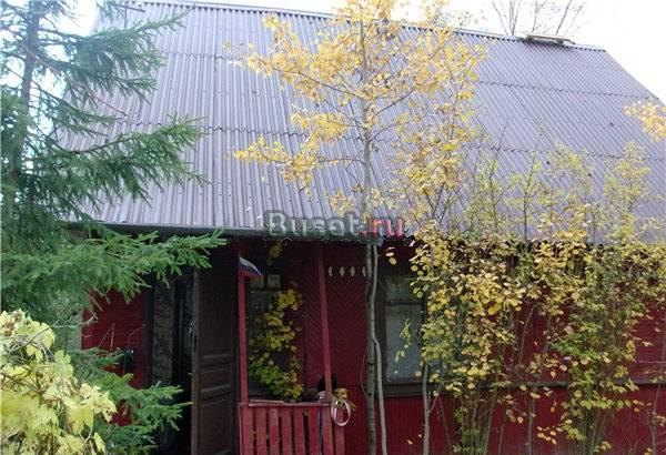 Меняю уютную дачу 25 км от СПб на жилье Санкт-Петербург