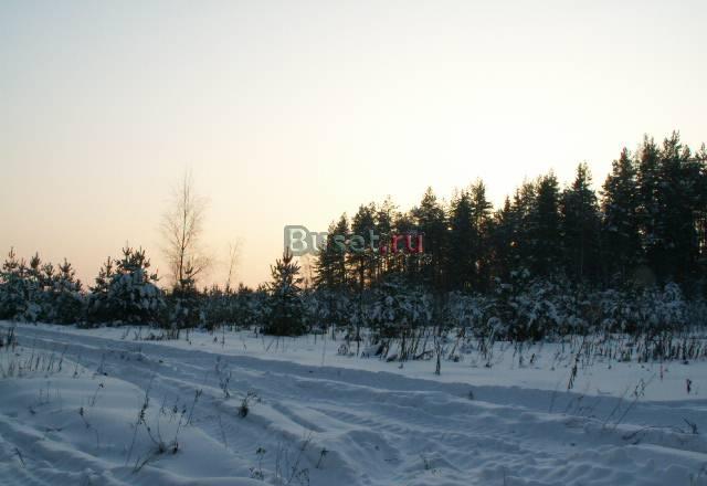 Участок 15 соток по Щелковскому шоссе Москва