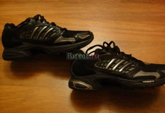 Кроссовки adidas Санкт-Петербург