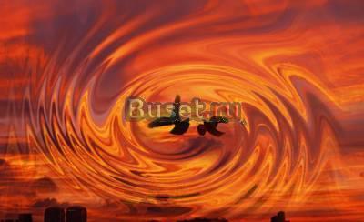 Тренинги, консультации, психотерапия, цветотерапия Москва