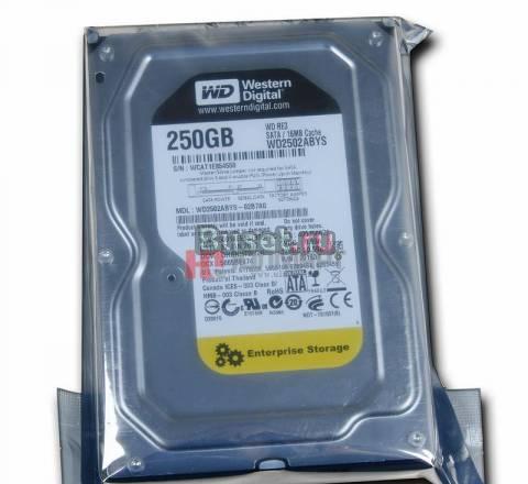 Жёсткий диск (HDD) WD2502abys (250Gb) Санкт-Петербург