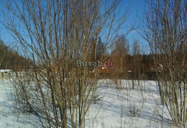 Земельный участок в д. Коряково Балабаново