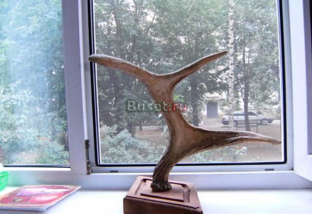 Рога оленьи Серпухов