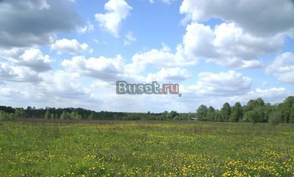 Уютный участок с выходом в лес 65 км от МКАД Воскресенск