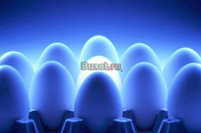 Оптом яйцо куриное от 8 руб Москва