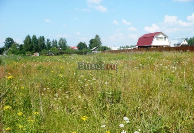 Участок 25 соток в деревне Крутец Александров