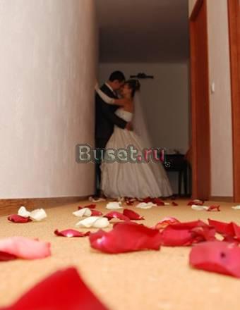 Фото и видео  съёмка свадеб Краснодар